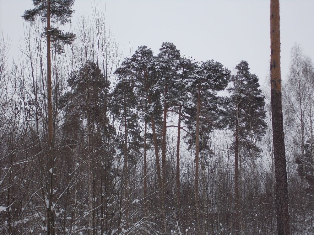 Photo #5914645