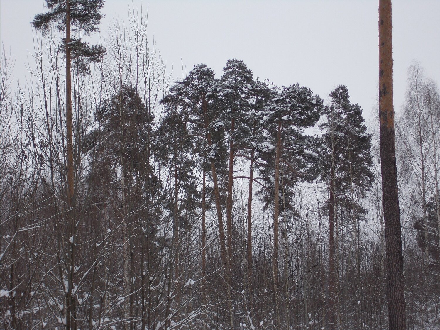 Photo #5914645