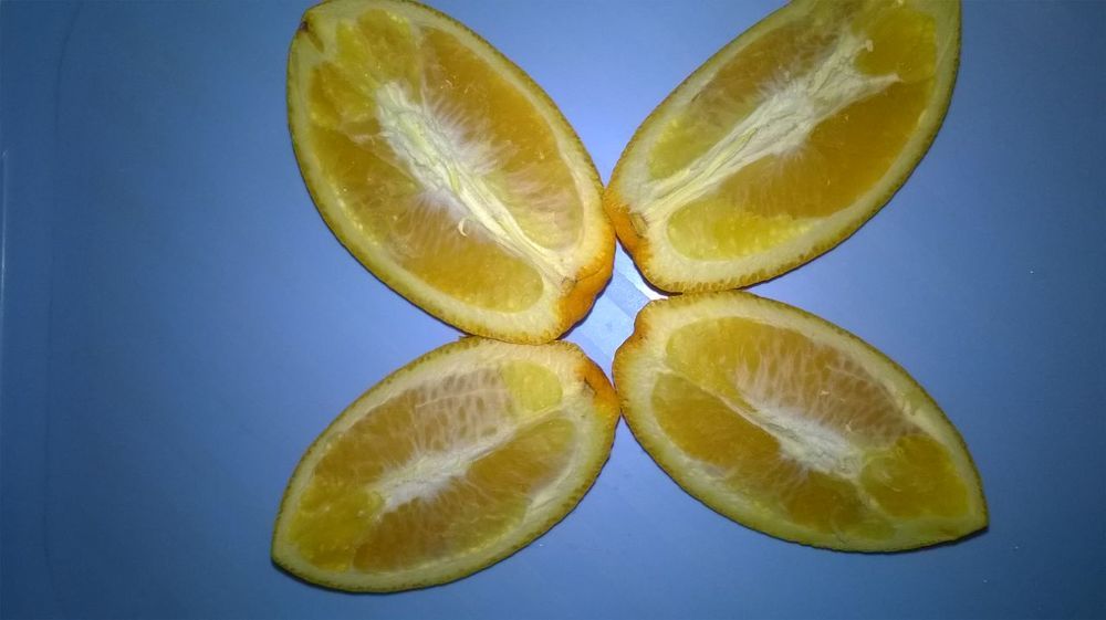 Photograph by Любовь Панфилова