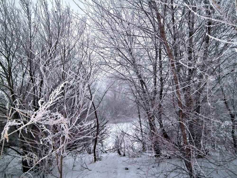 Photograph by Татьяна Королёва