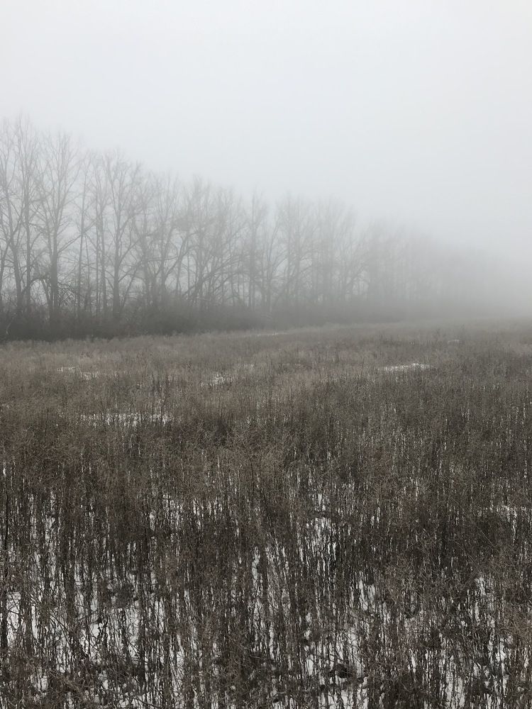 Photograph by Анатолий Карлюк