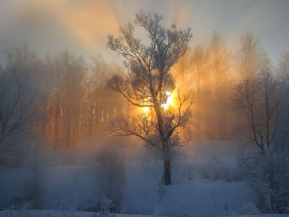 Photograph by Гарбузов Илья