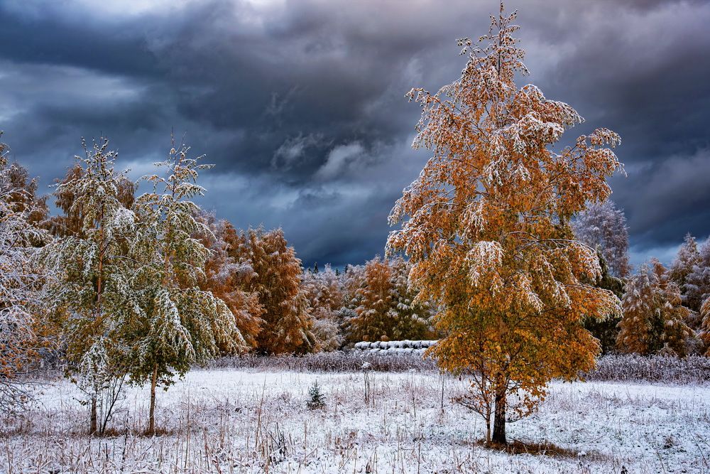 Photograph by Евгений Дроботенко