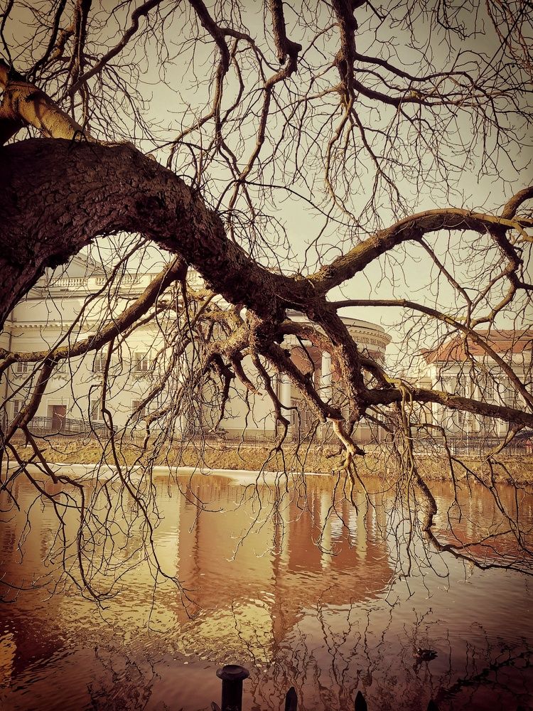 Photograph by Małgorzata Szymańska