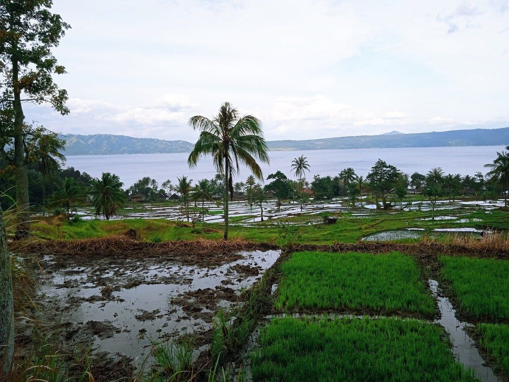 Photograph by Hario Suhendra