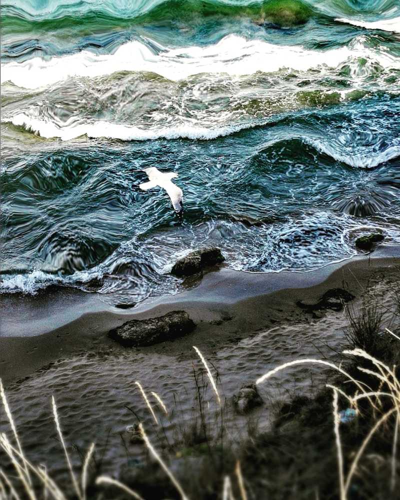 Фотография автора Павел Барский