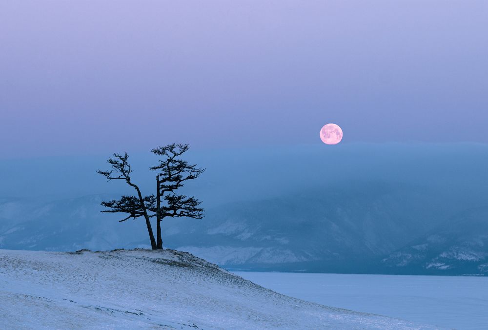 Photograph by Всеволод Черноиванов