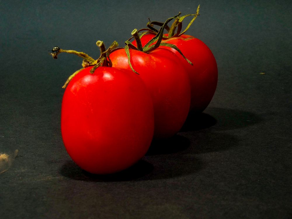 Photograph by János Rábli