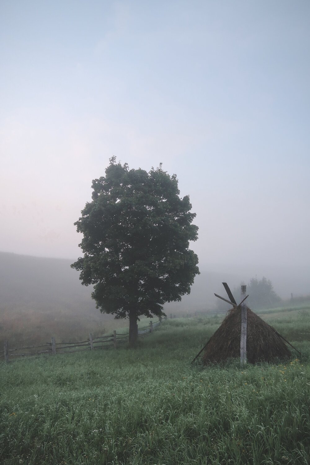 Photo #5914896
