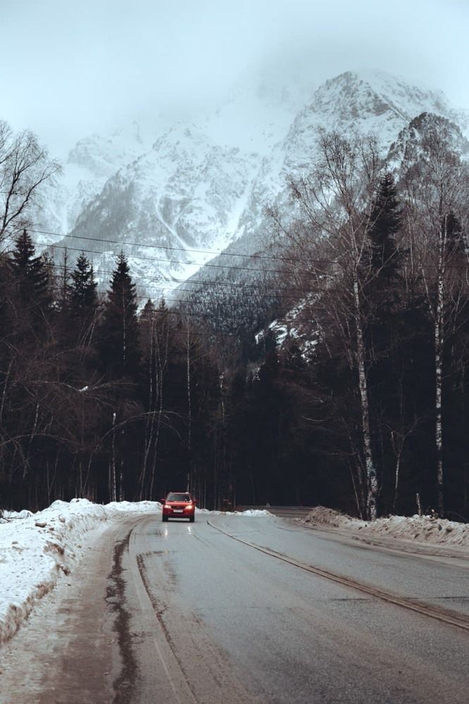 Photograph by Галина Бородина