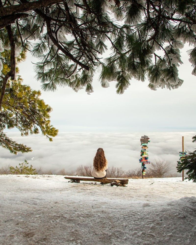 Photograph by Галина Бородина