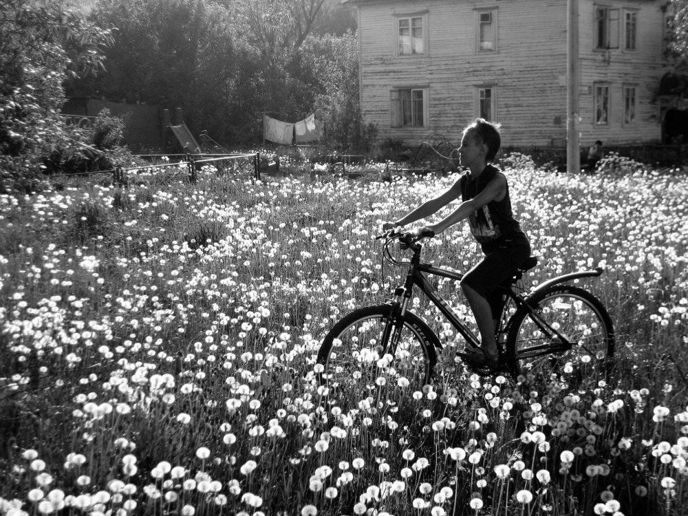 Photograph by Елена Гусева