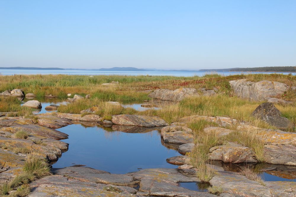 Photograph by Анна