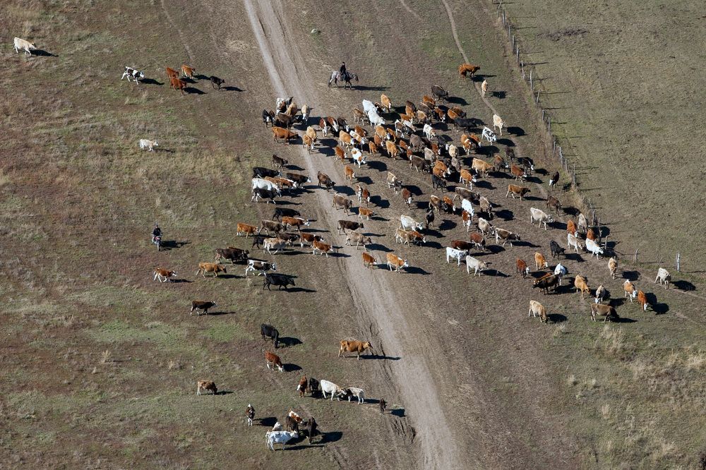 Фотография автора Юрий Литвинов
