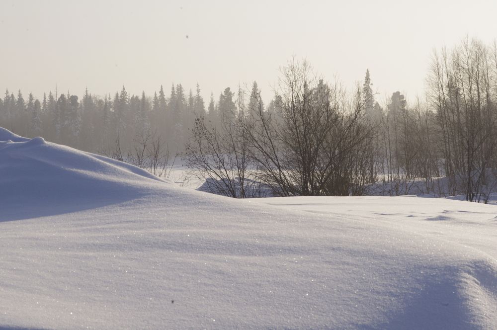 Photograph by Анна Глаговская