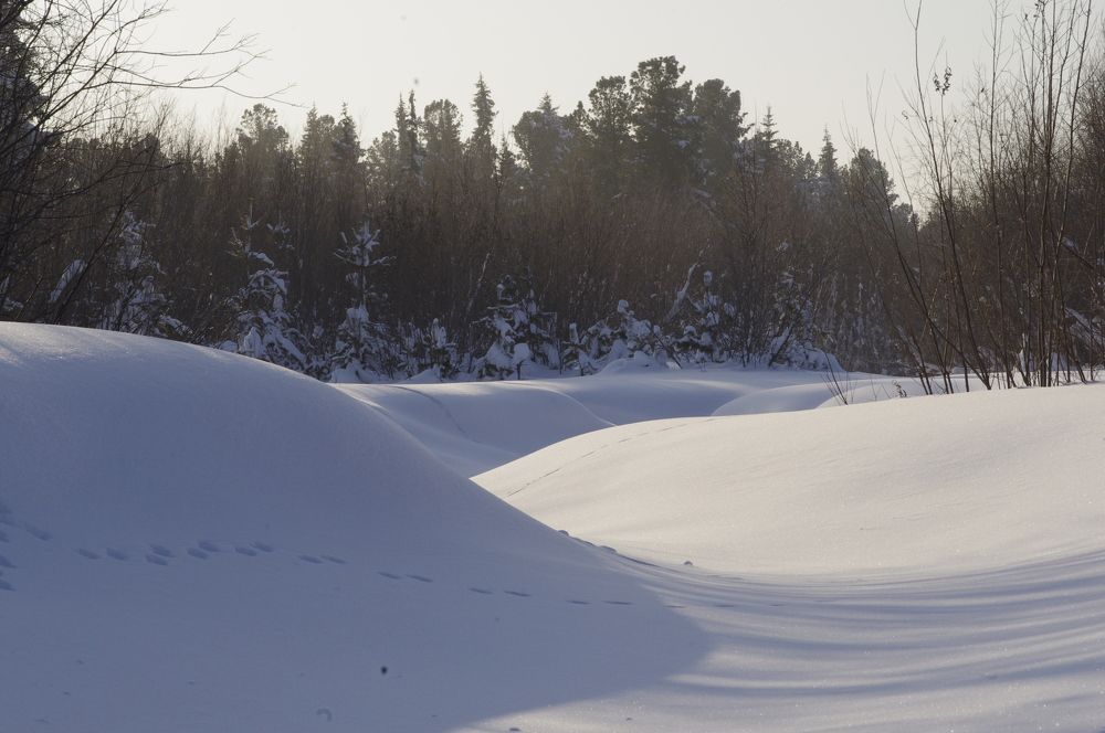Photograph by Анна Глаговская