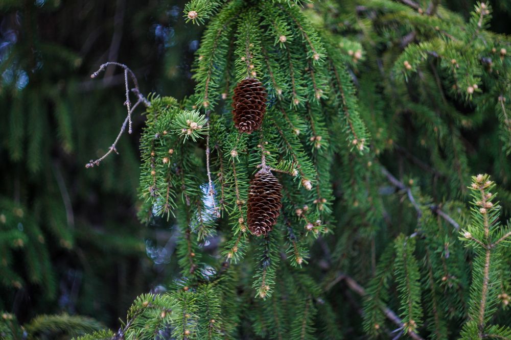 Photograph by Евгений