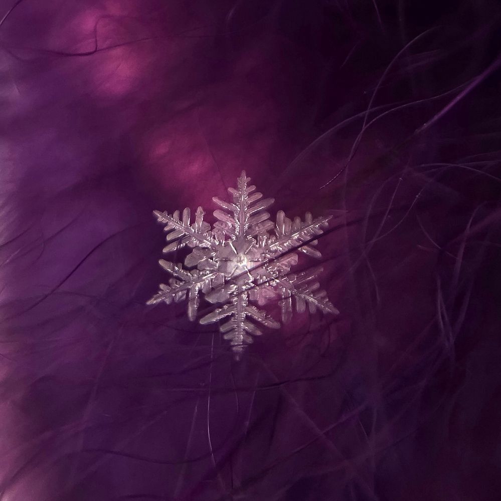 Первая снежинка