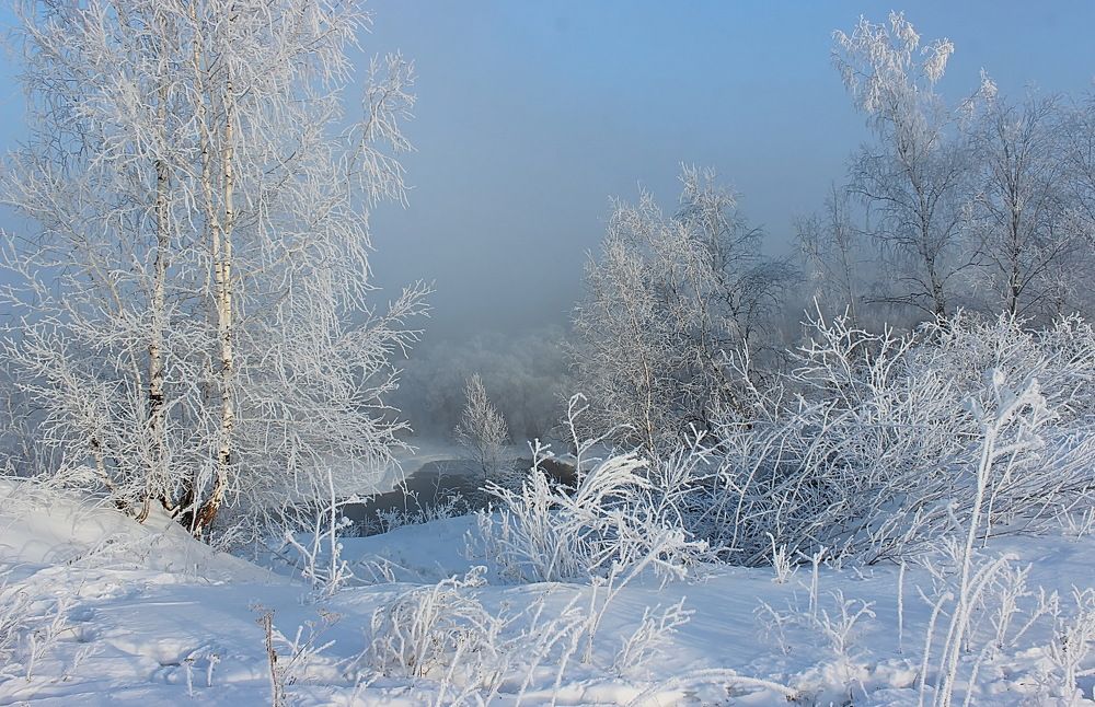 Photograph by Наталья Юрова