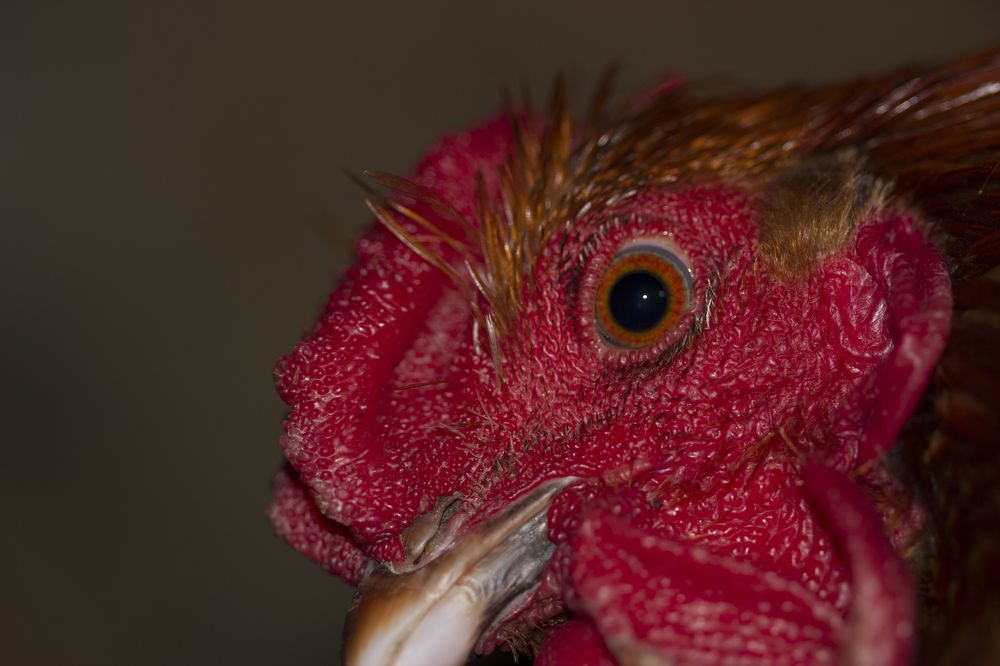 Photograph by Анна-Лаймуте Милошевич