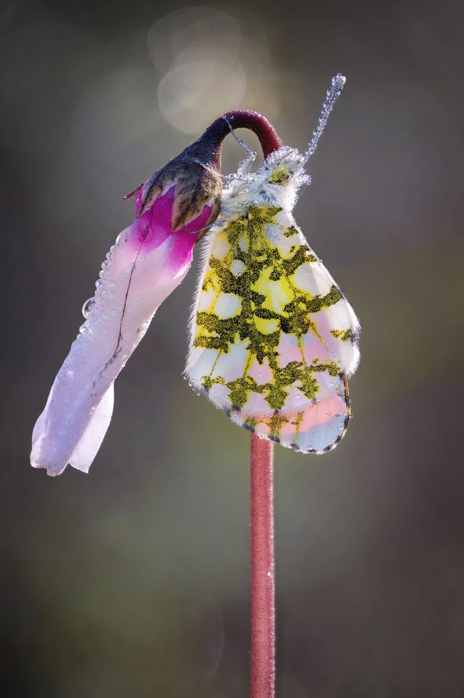 Photograph by Andrey Ostapenko