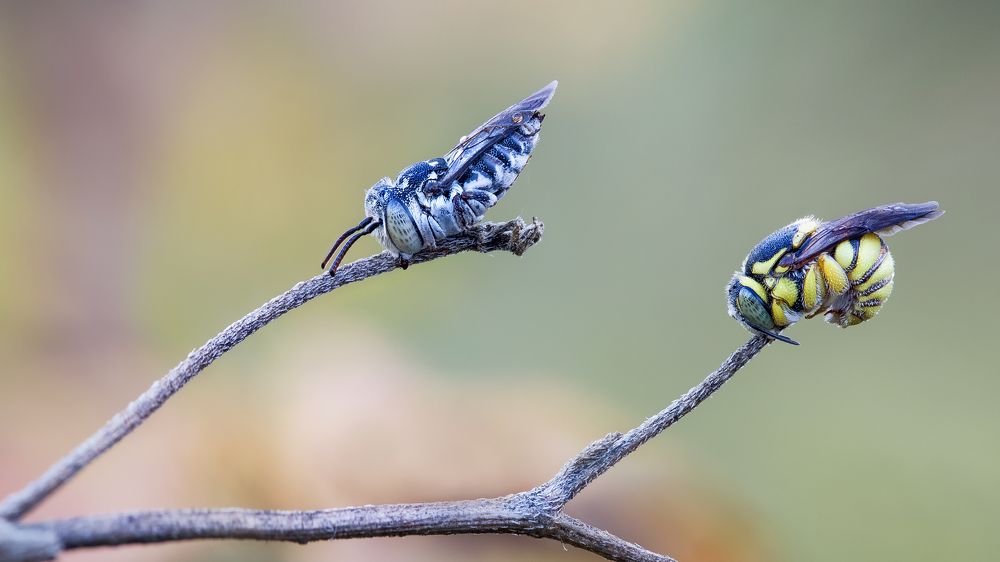 Photograph by Andrey Ostapenko