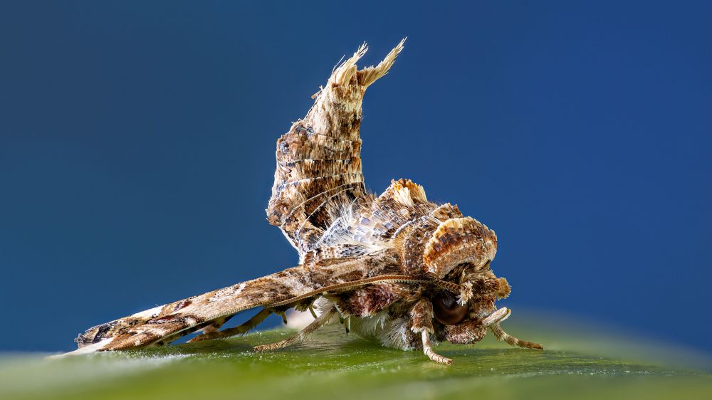 Photograph by Andrey Ostapenko