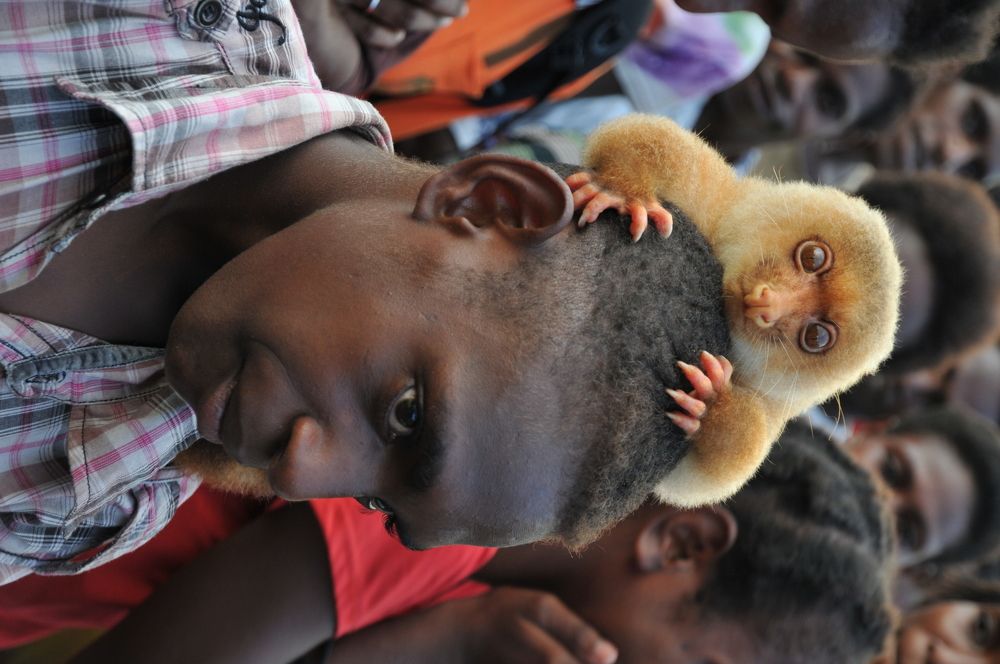 Photograph by Anton Bayu Samudra