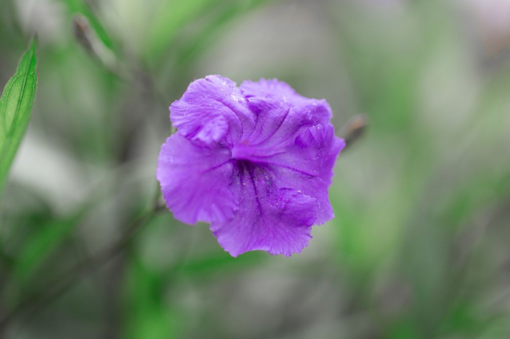 Photograph by Анастасия Петрова