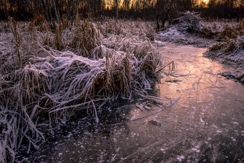 Photograph by Катя Катюнина