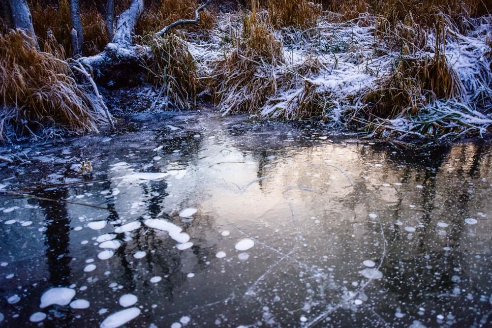 Photograph by Катя Катюнина