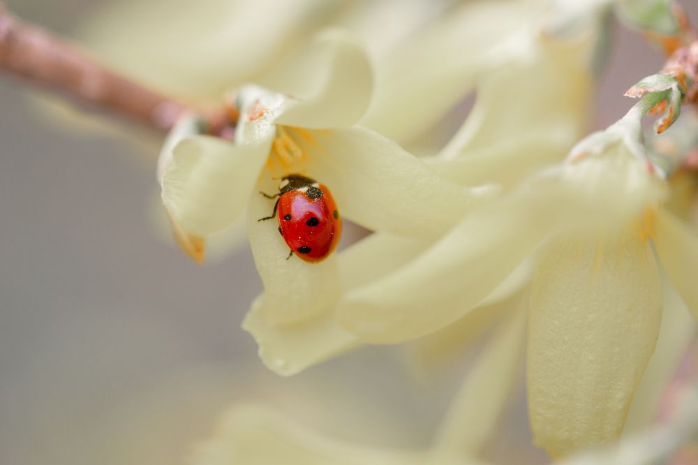 Photograph by Анастасия Петрова