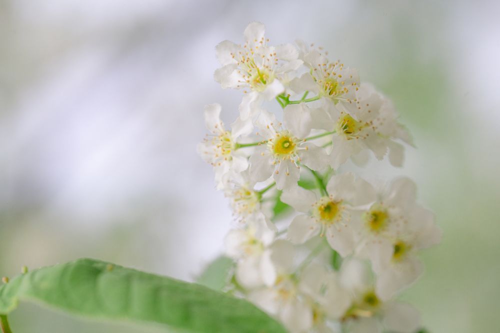 Photograph by Анастасия Петрова