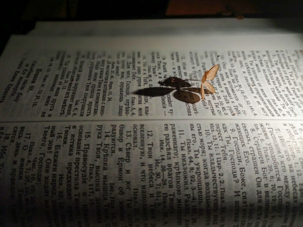 Photograph by Hanna Zapylaieva