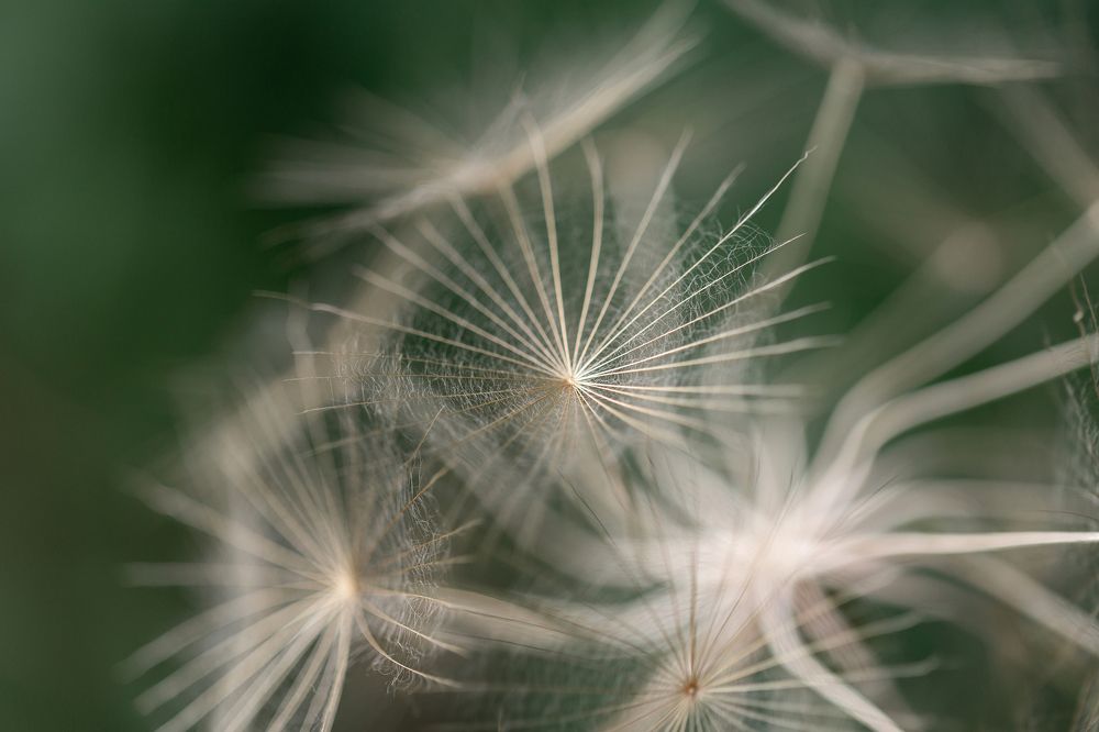 Photograph by Анастасия Петрова