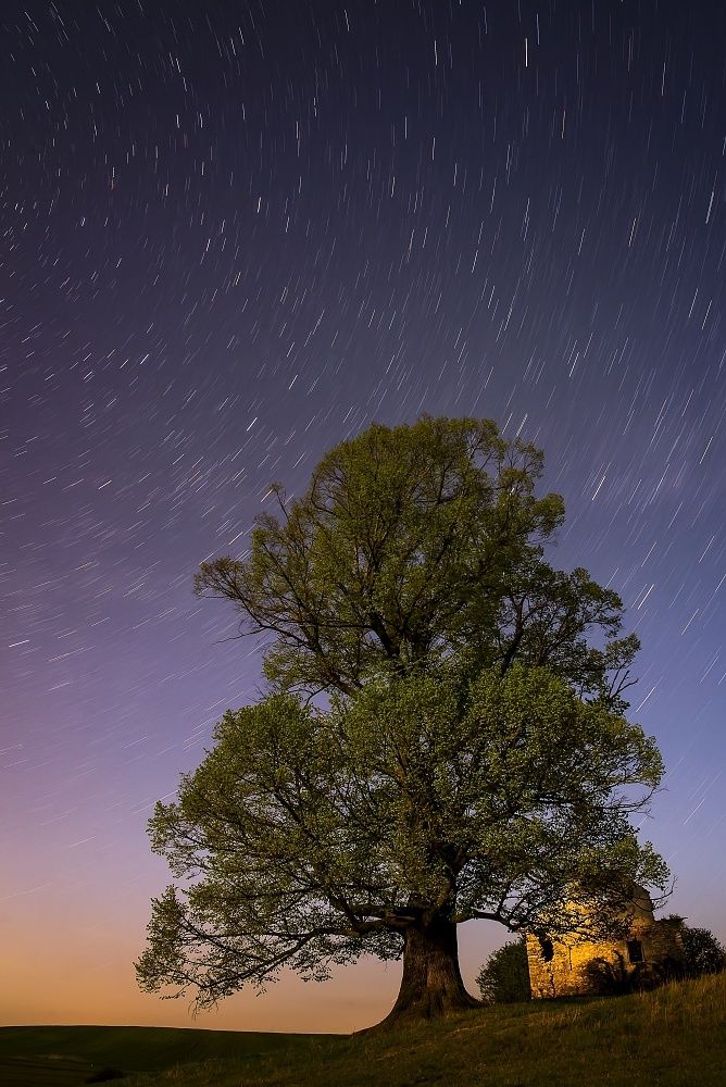 Photograph by Radim Ziman