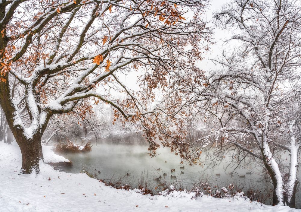 Photograph by Александр Хорошилов