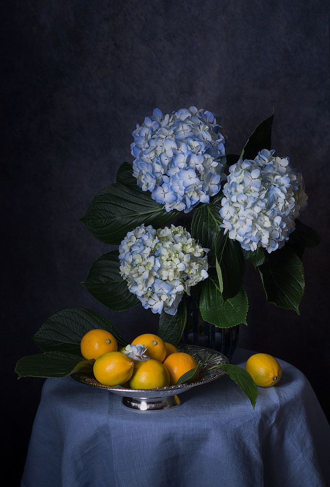 Фотография автора Алина Ланкина