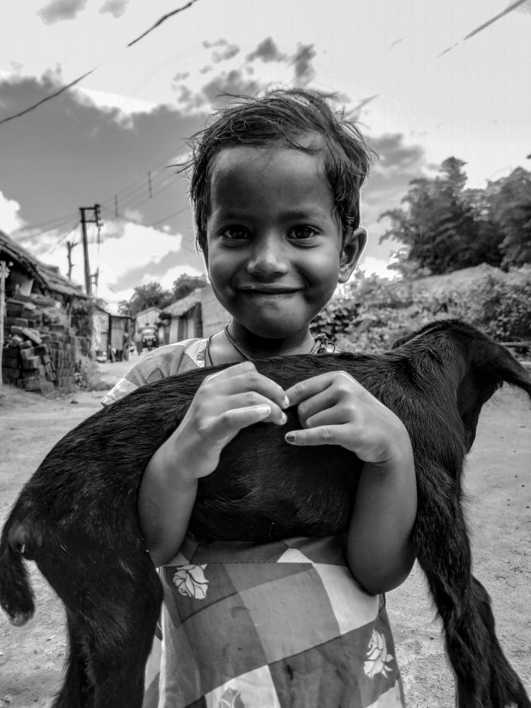 Фотография автора SK Shahbaj Ahmed