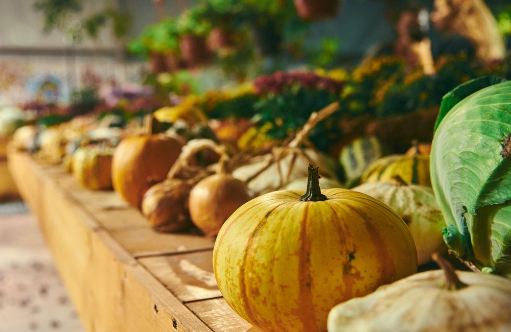 Photograph by Антон Бойков