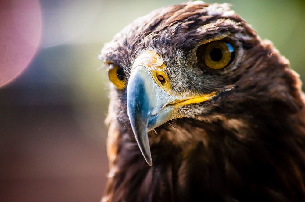 Фотография автора James Poulson