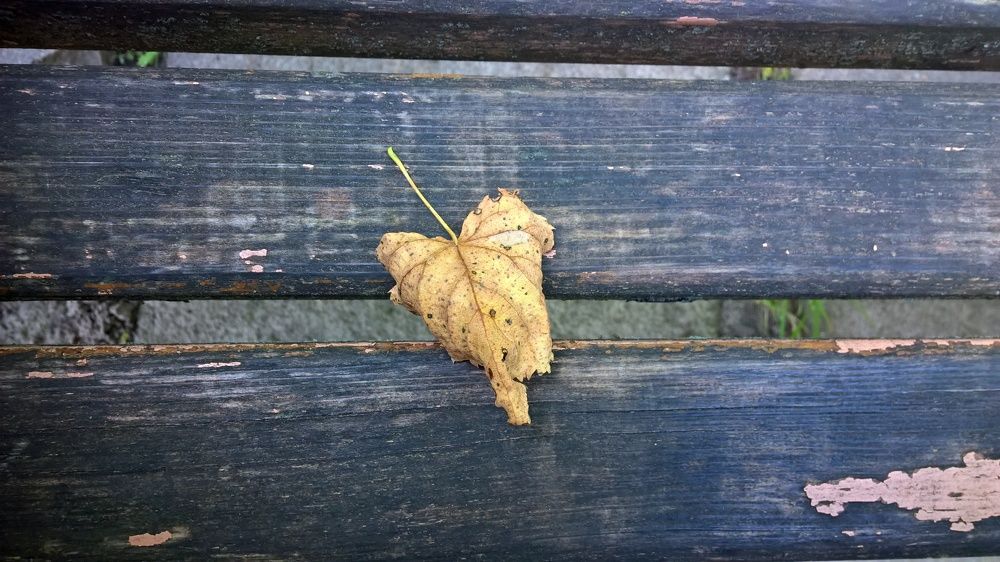 Photograph by Иван Скорик