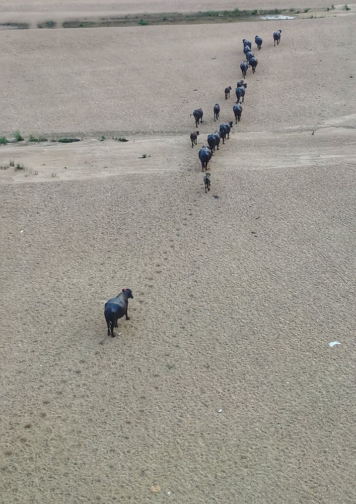 Bird Eye On Mobile Photography