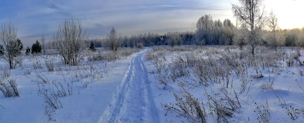 Морозный вечер.
