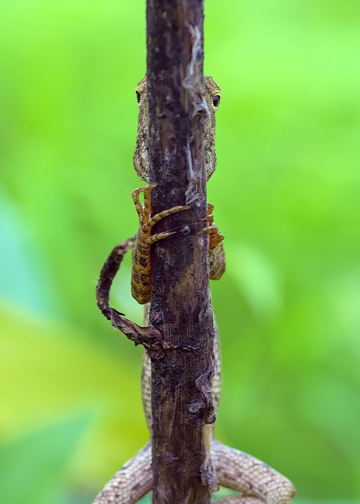 Photograph by ankur tambde