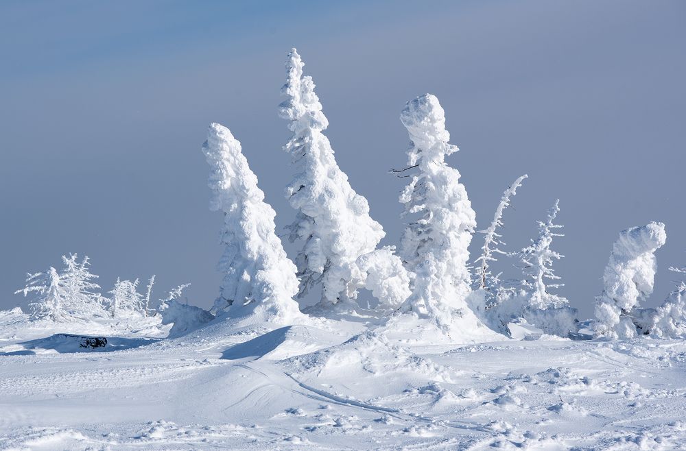 Фотография автора Сергей Сынтин