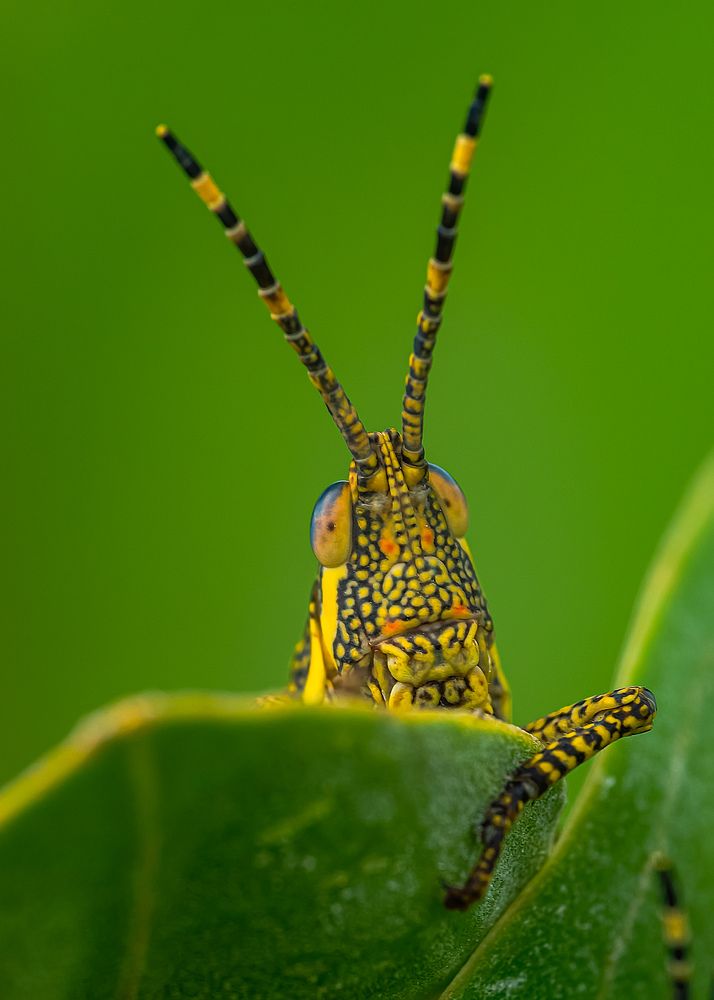 Photograph by ankur tambde
