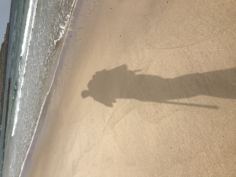 Photograph by Jose Barreto