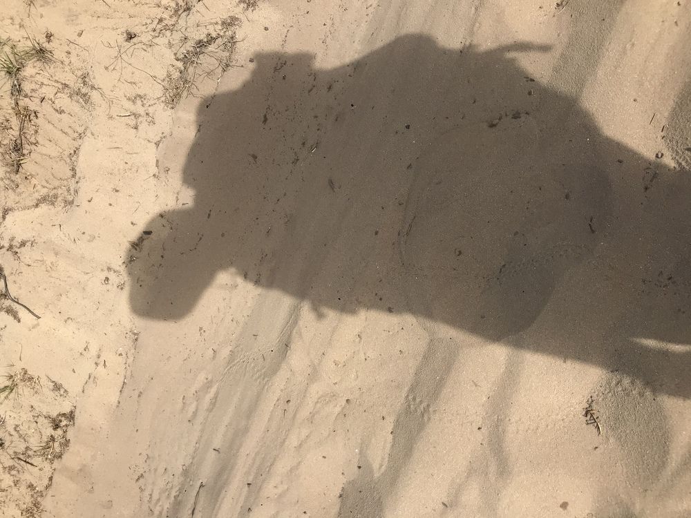 Photograph by Jose Barreto