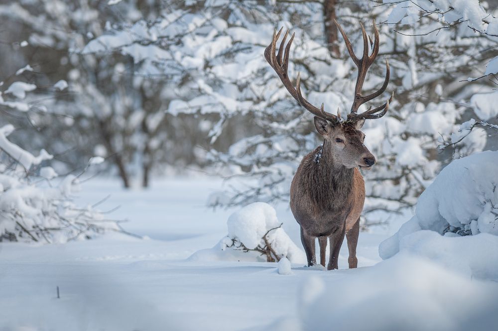 Photograph by Dariusz Dryl